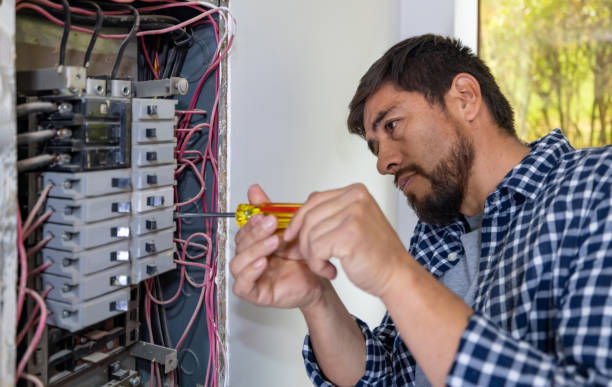 Best Ceiling Fan Installation Electrician  in Alva, FL